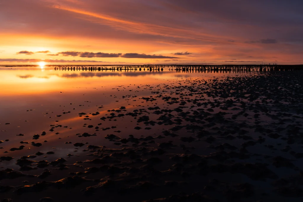 Sunset over the tidal flats of Mandø Island in Denmark